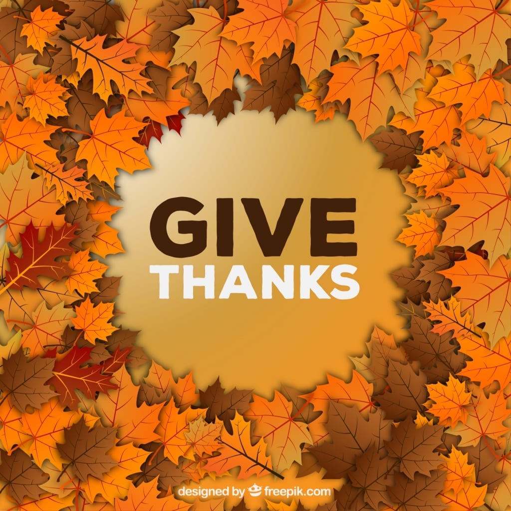 Give Thanks and Be Grateful SpeedClean 