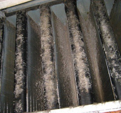 Filthy Evaporator Coils SpeedClean