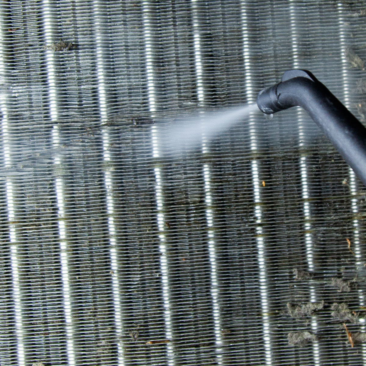 Steam Clean Germs Away